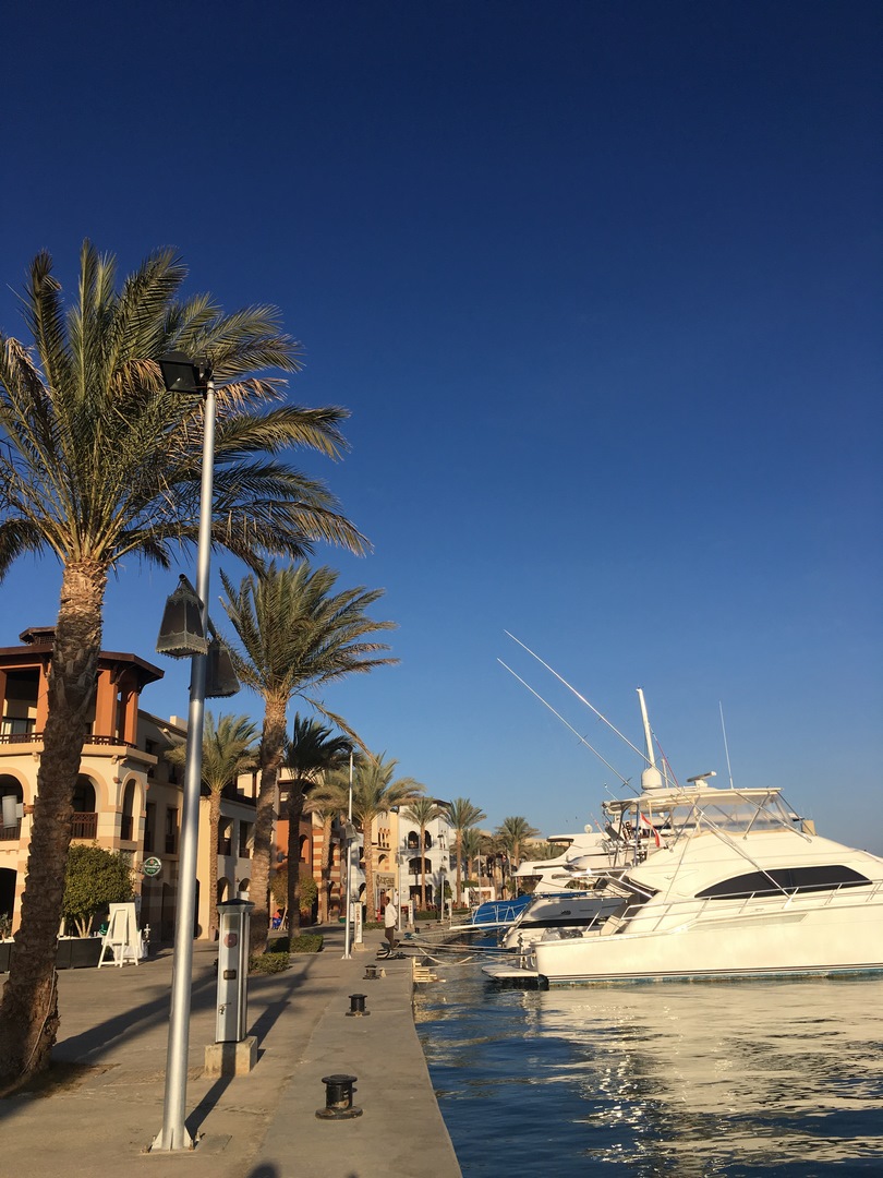 1177 (Kopiowanie).JPG