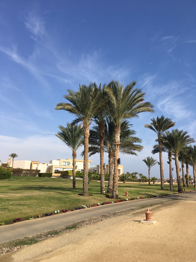 1408 (Kopiowanie).JPG