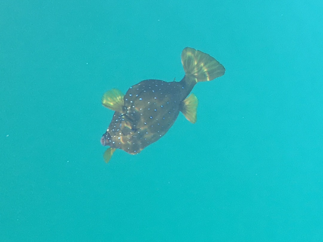 1194 (Kopiowanie).JPG