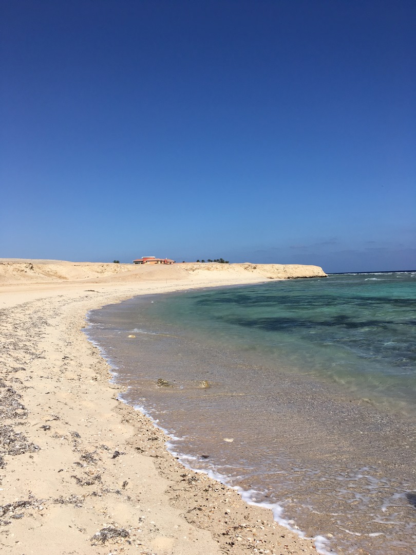 901 (Kopiowanie).JPG