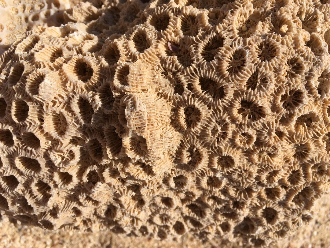 910 (Kopiowanie).JPG