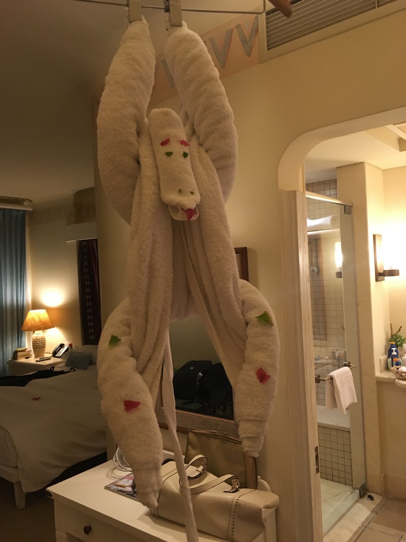 617 (Kopiowanie).JPG