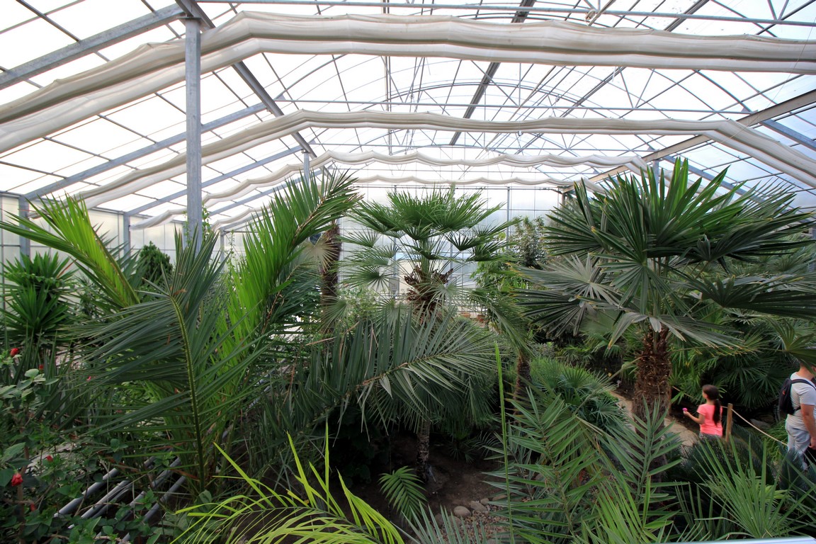 IMG_9959 (Kopiowanie).JPG