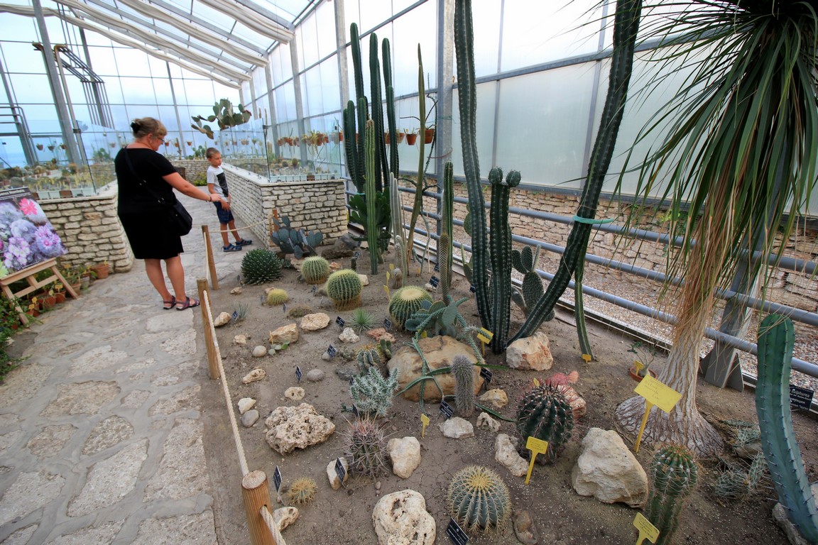 IMG_9953 (Kopiowanie).JPG