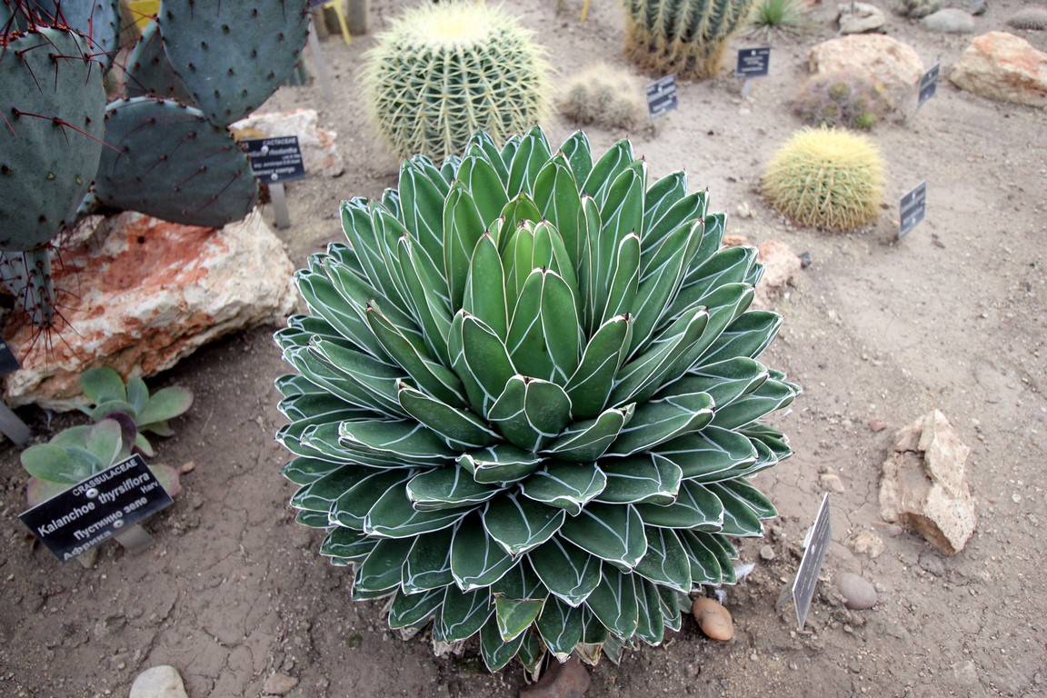 IMG_9954 (Kopiowanie).JPG