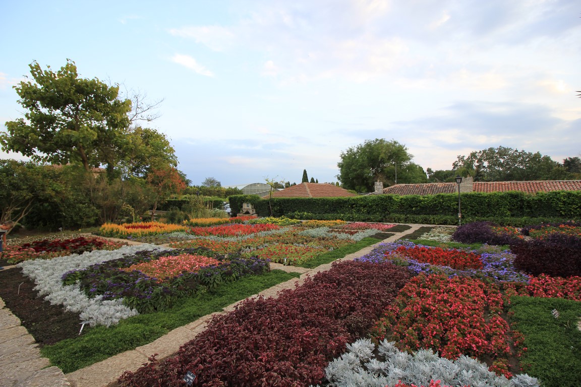 IMG_9933 (Kopiowanie).JPG