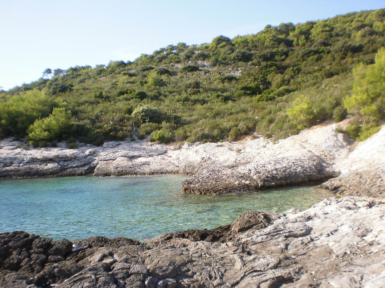 P9082106 — kopia.JPG