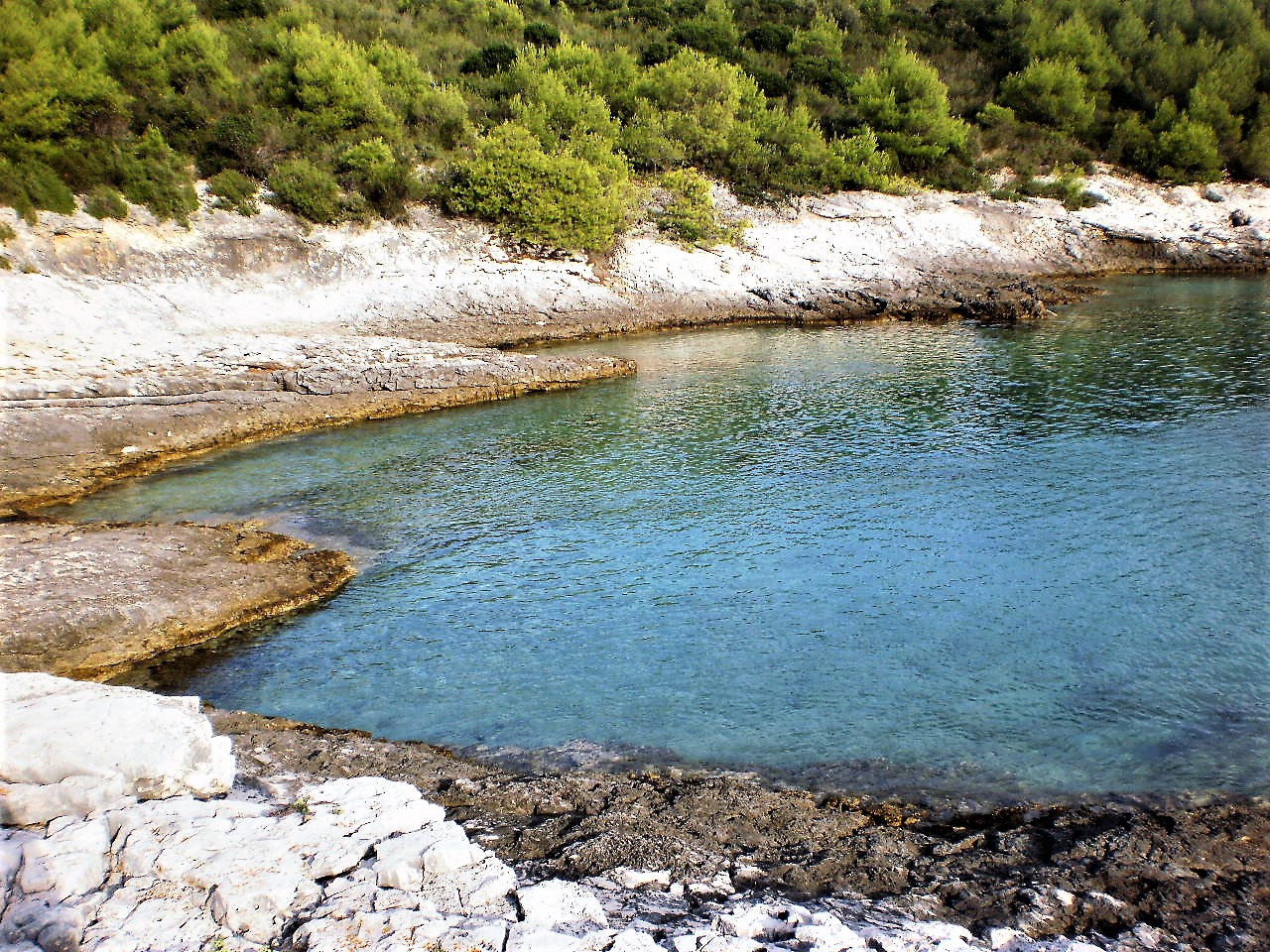 P9082116 — kopia.JPG