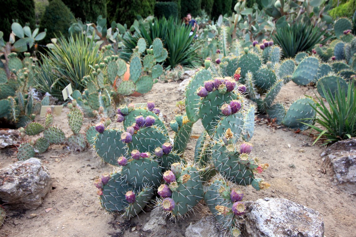 IMG_9969 (Kopiowanie).JPG