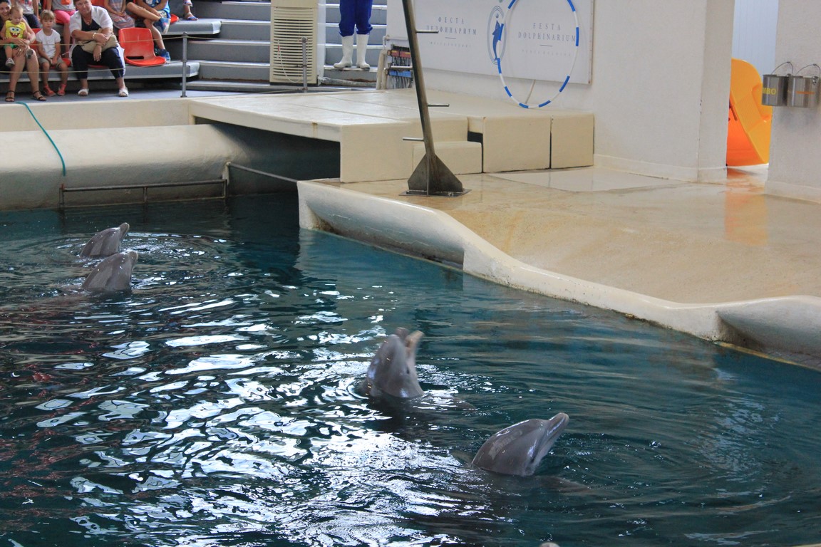 IMG_0033 (Kopiowanie).JPG