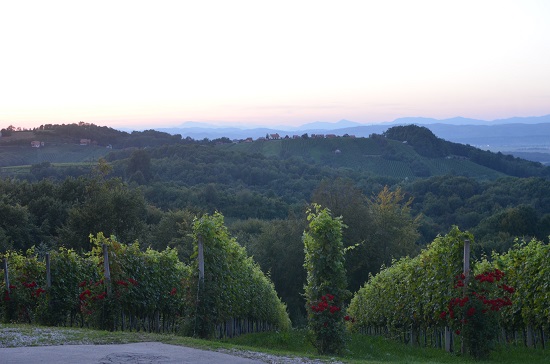 wakacje 2014 203.jpg