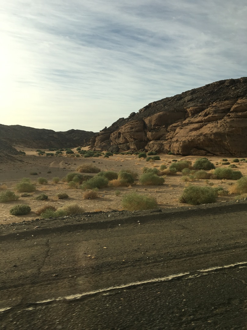 638 (Kopiowanie).JPG