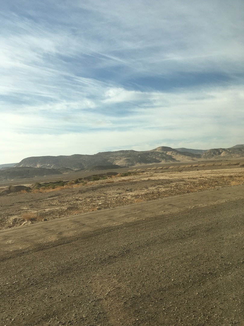 641 (Kopiowanie).JPG