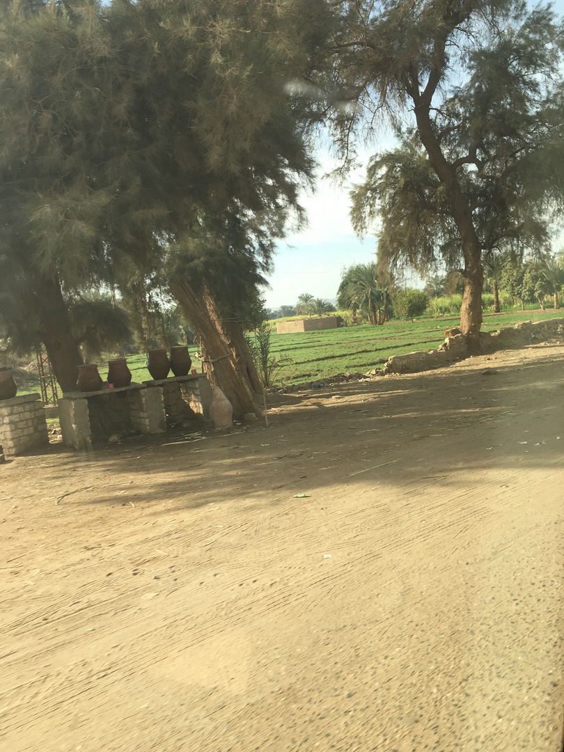 648 (Kopiowanie).JPG