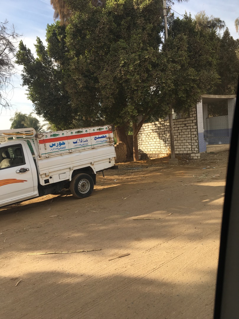 649 (Kopiowanie).JPG