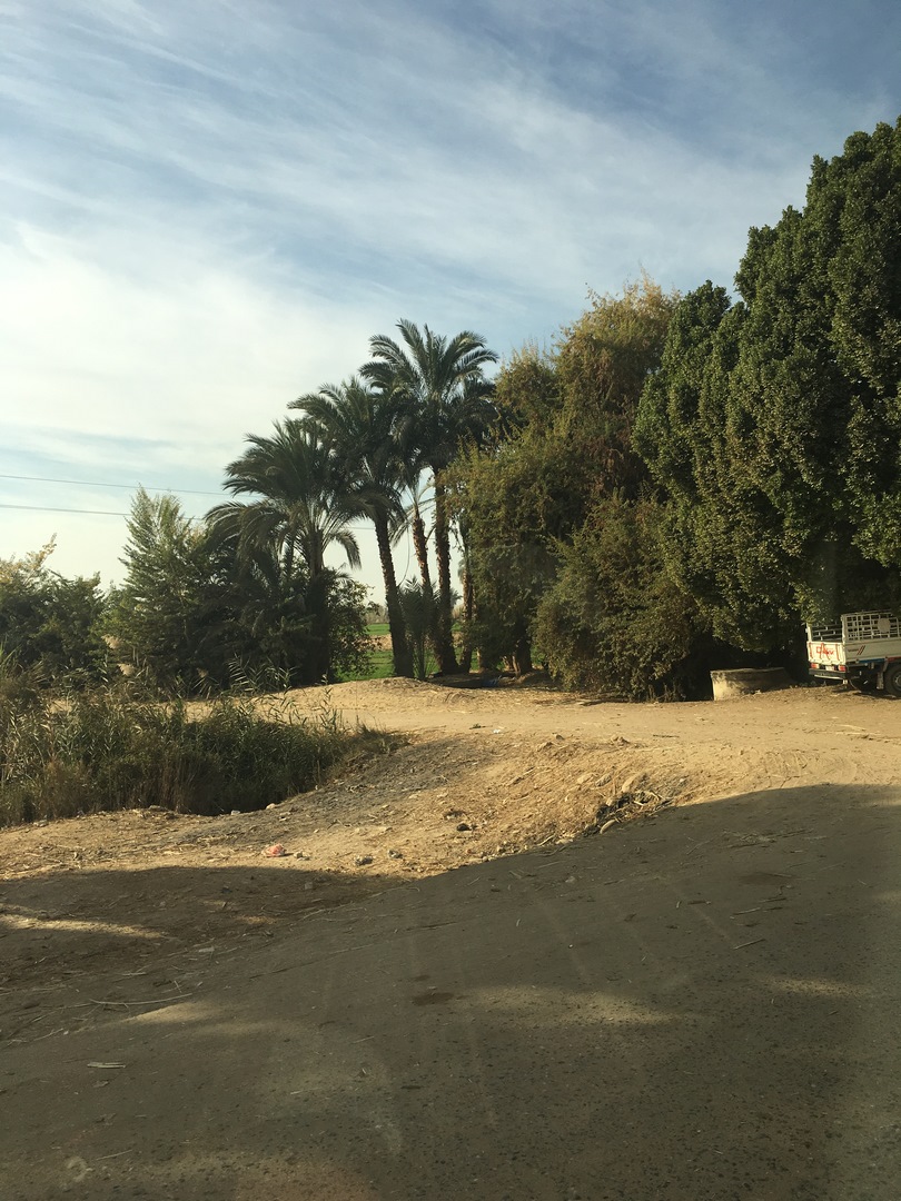 658 (Kopiowanie).JPG