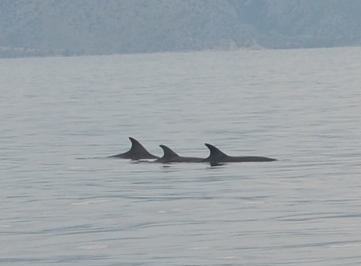 wakacje 2014 544.jpg