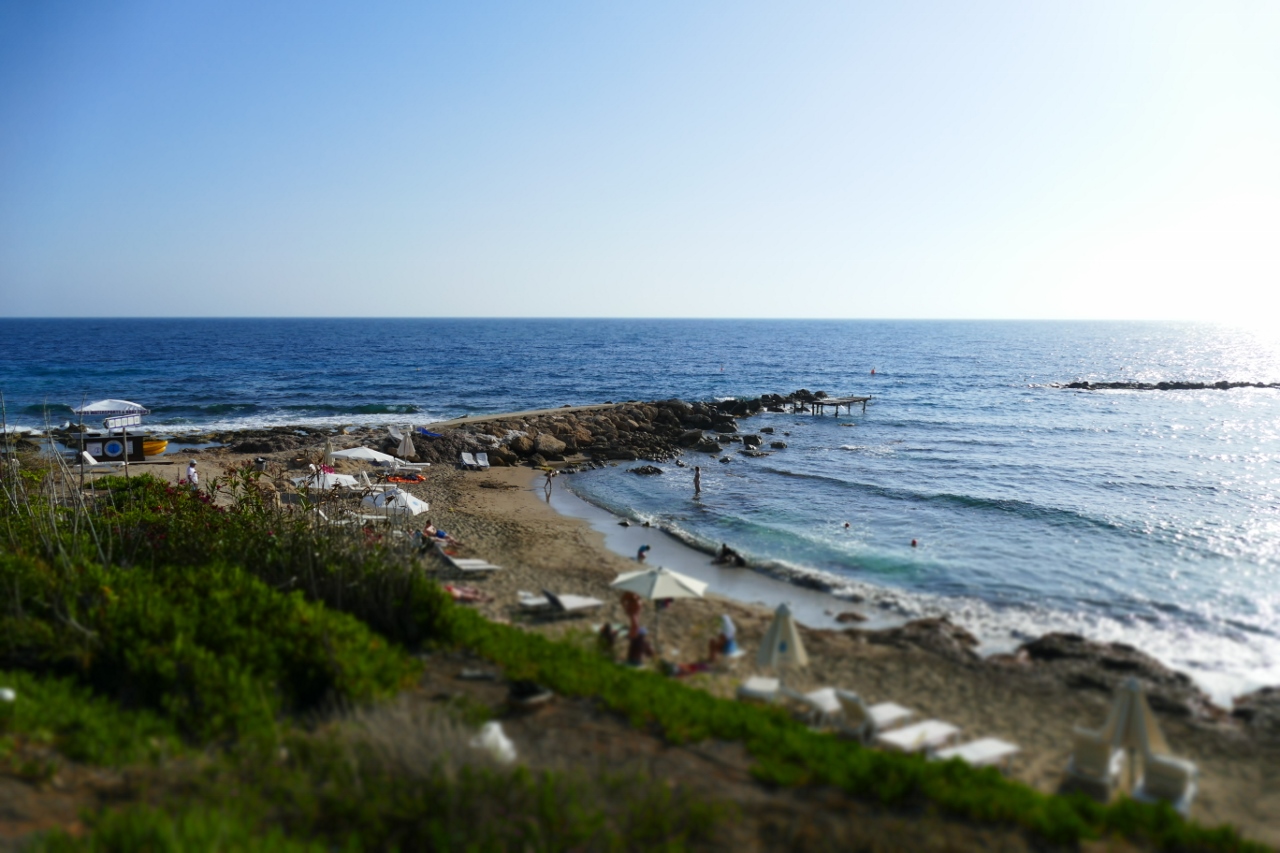 P1020492 (1280x853).jpg