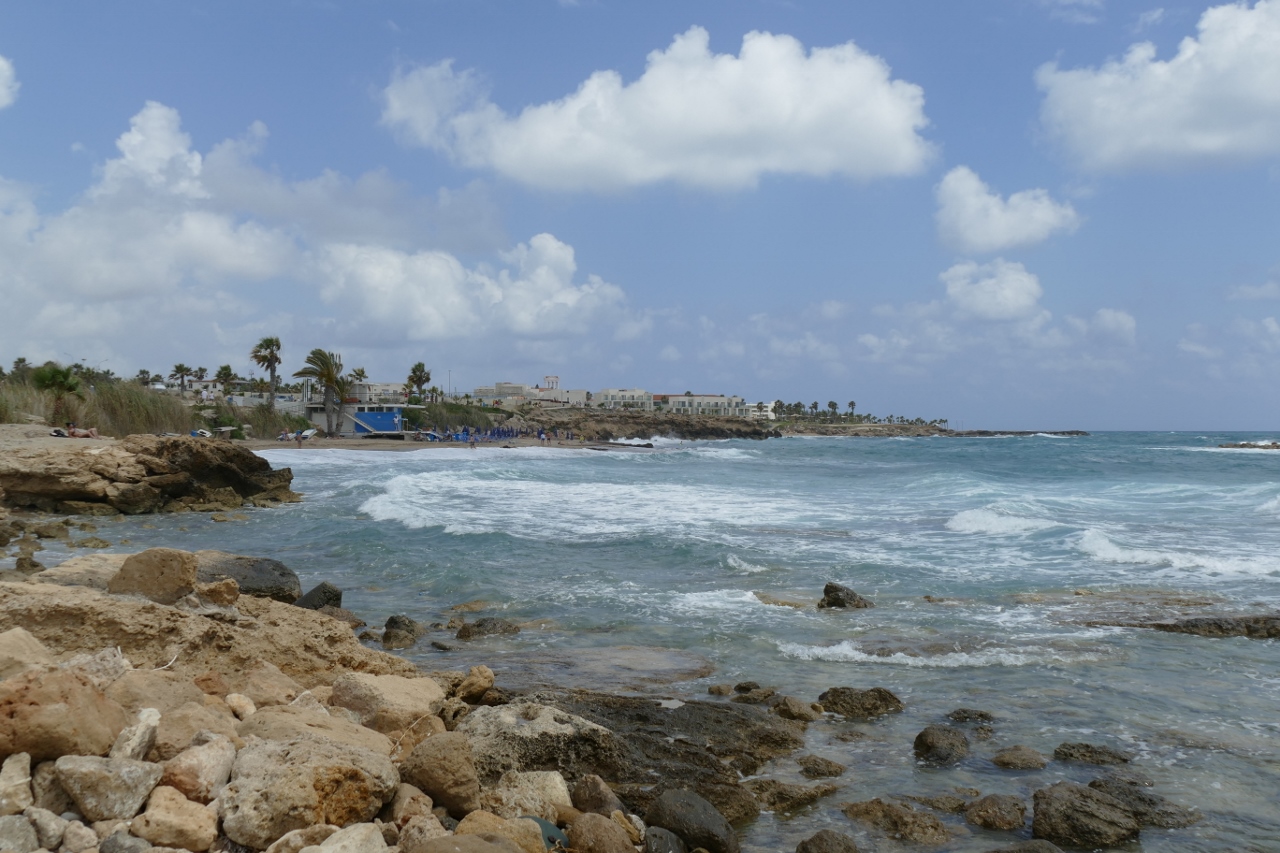 P1020305 (1280x853).jpg