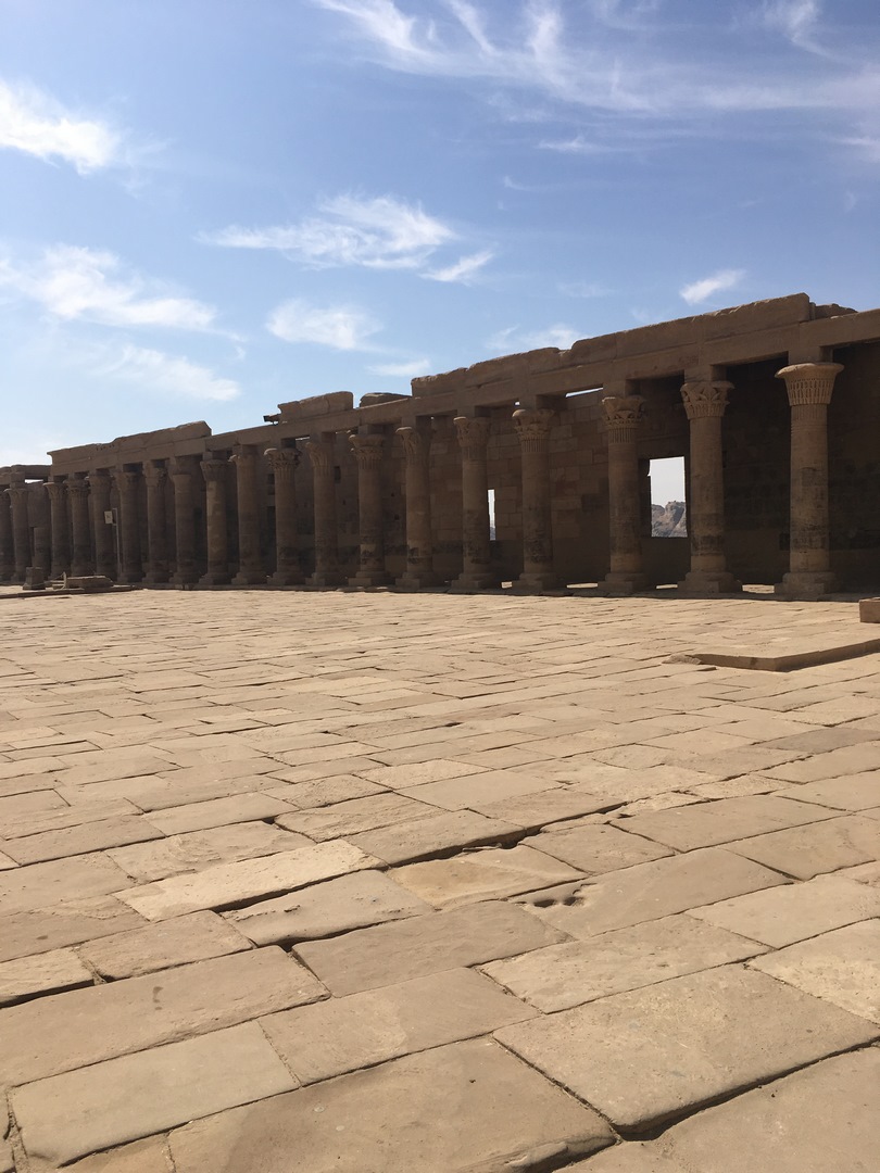 703 (Kopiowanie).JPG