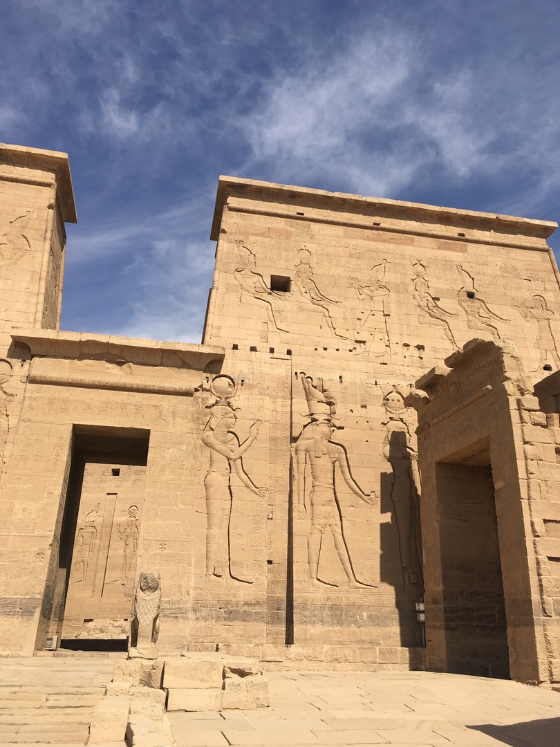 704 (Kopiowanie).JPG