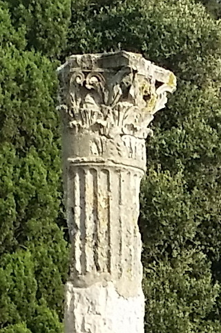 20160712_080112 (2).JPG