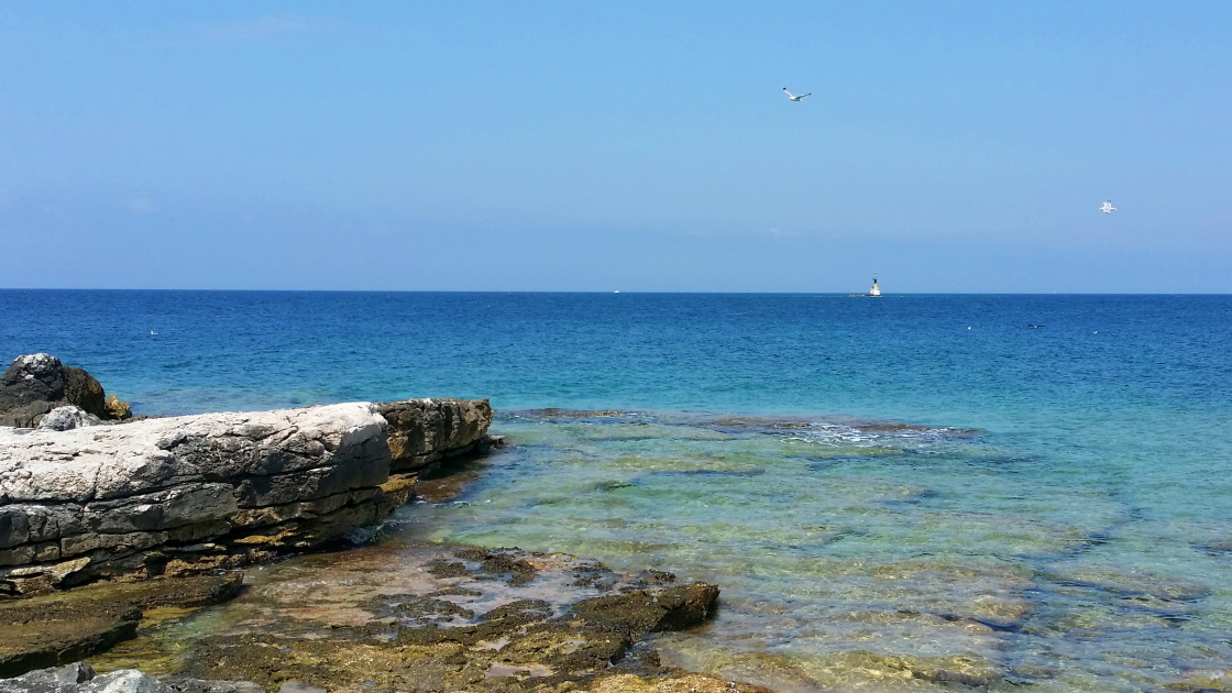 20160712_114243 (2).JPG