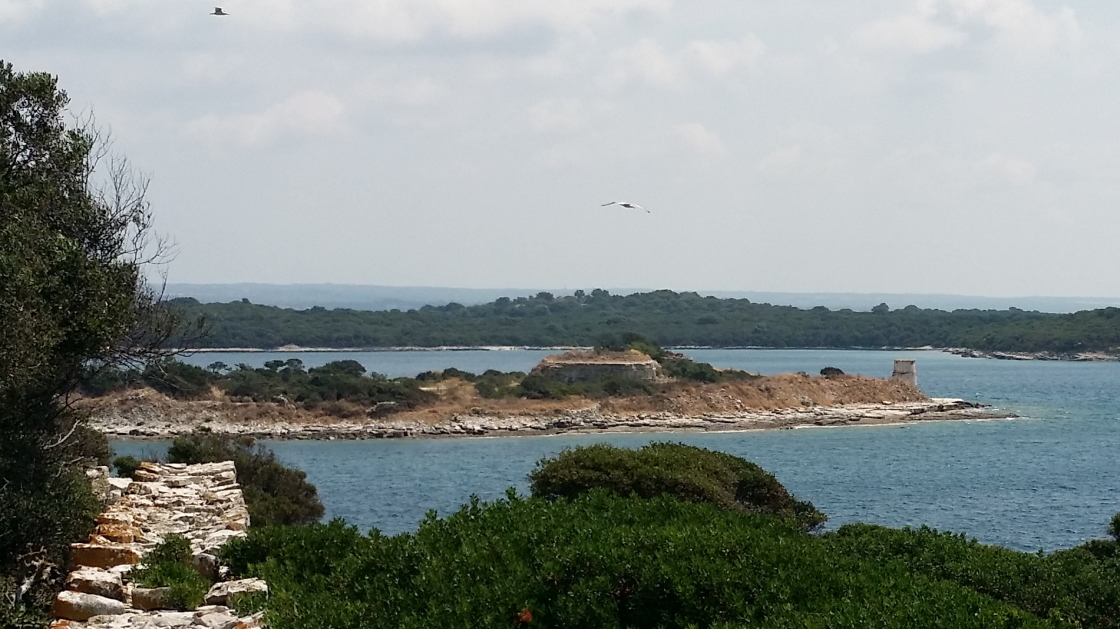 20160712_120502 (1).JPG