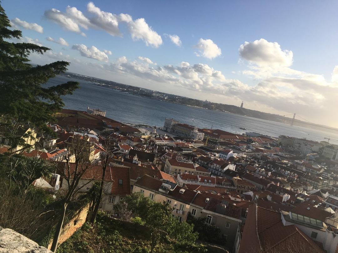 202 (Kopiowanie).JPG