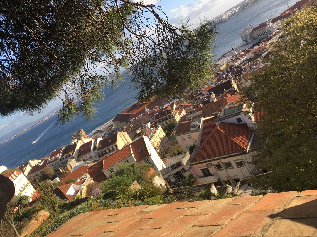 211 (Kopiowanie).JPG