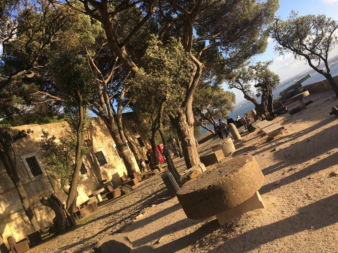 215 (Kopiowanie).JPG