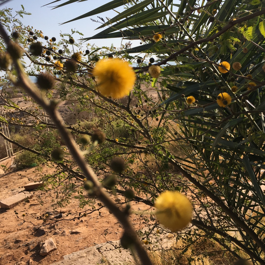 780 (Kopiowanie).JPG