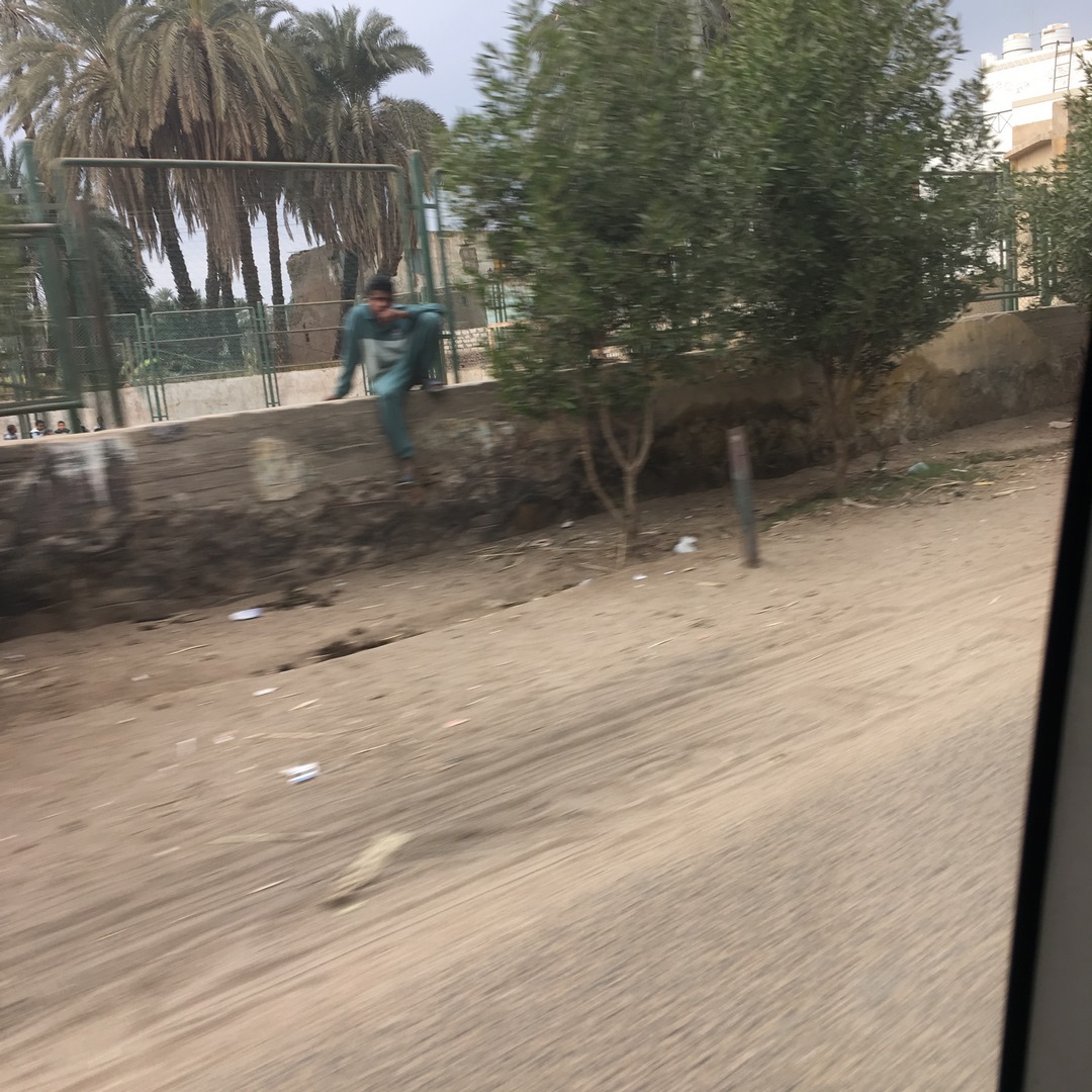 805 (Kopiowanie).JPG