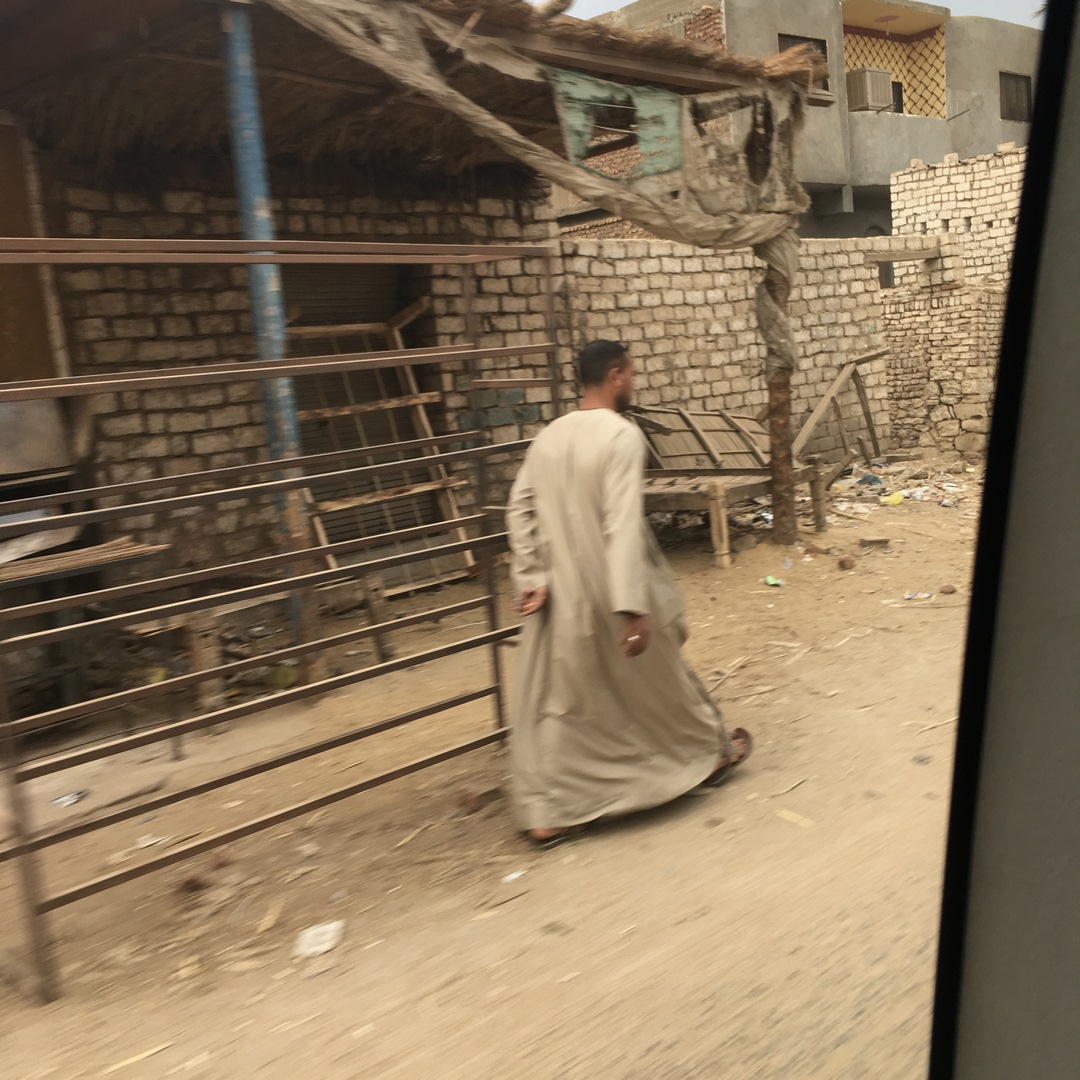 810 (Kopiowanie).JPG