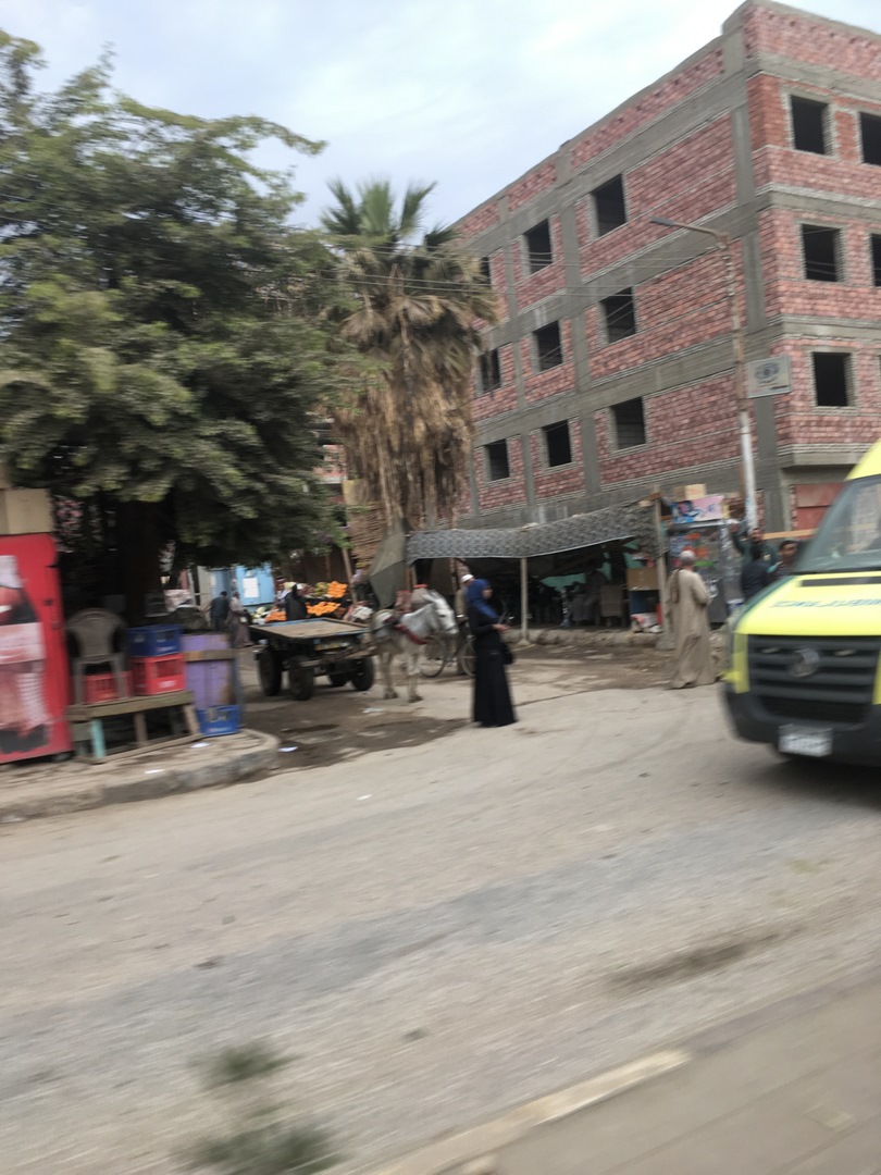 861 (Kopiowanie).JPG