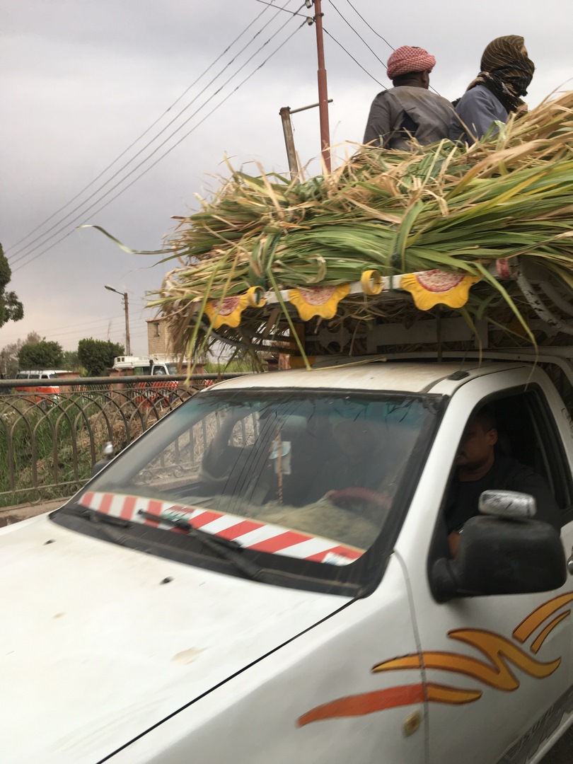 868 (Kopiowanie).JPG