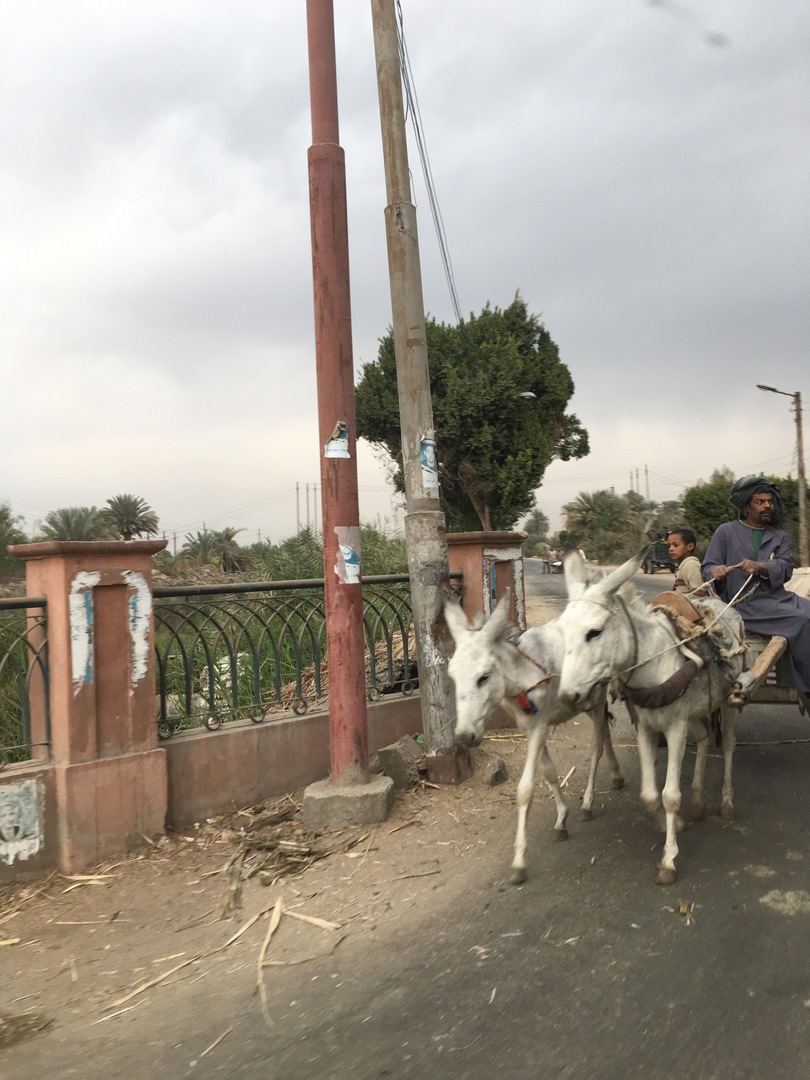 869 (Kopiowanie).JPG