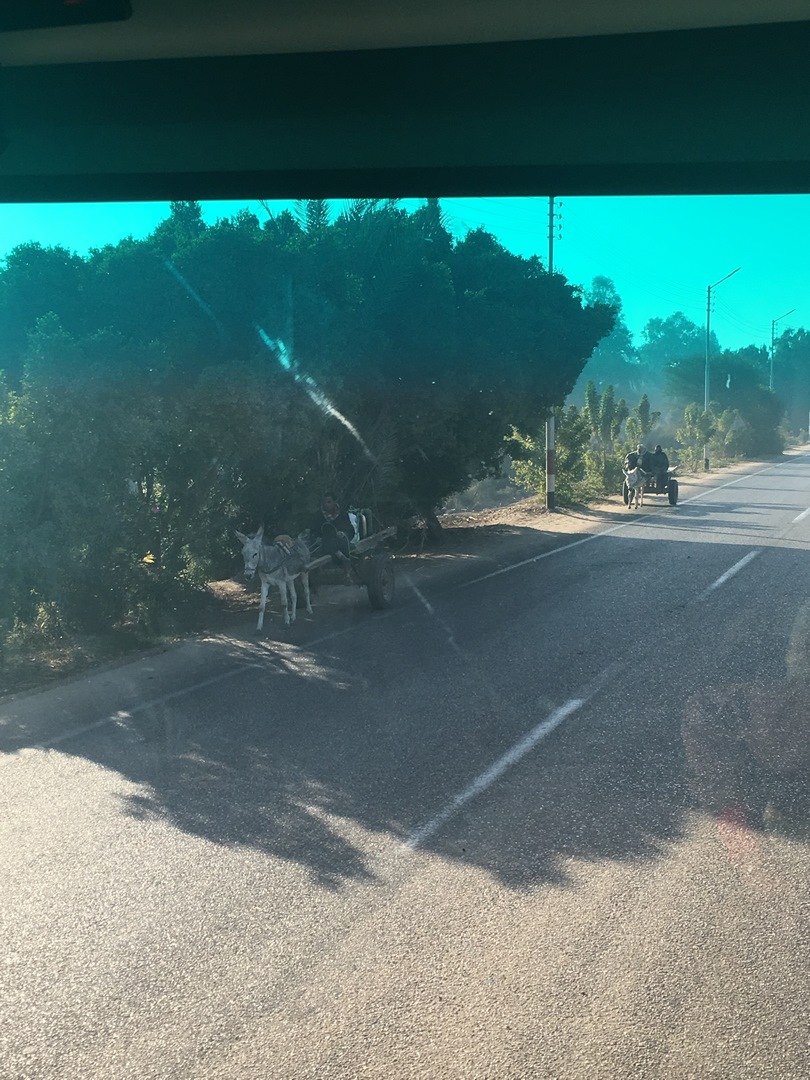 936 (Kopiowanie).JPG