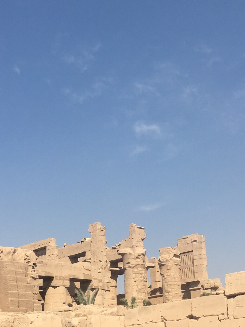 967 (Kopiowanie).JPG