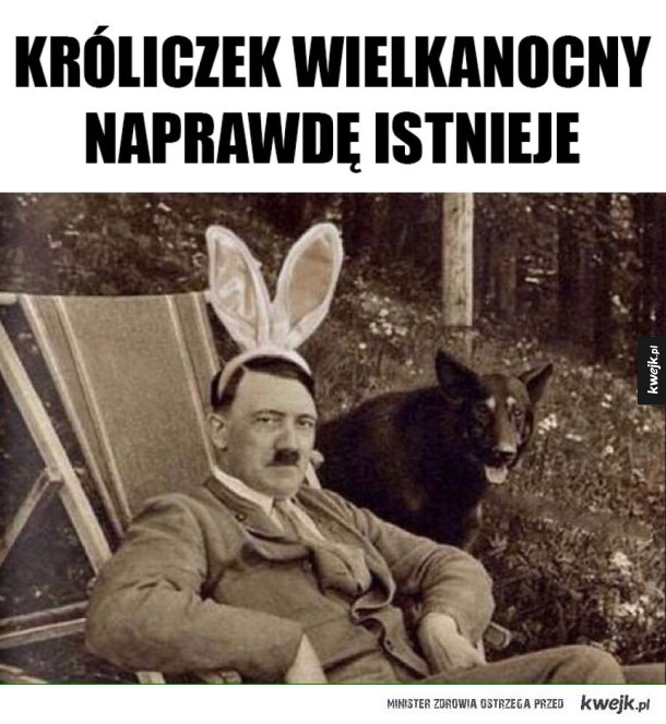 kroliczek.jpg