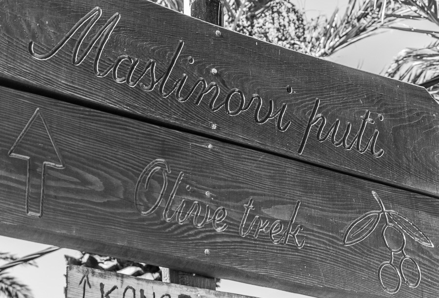 początek szlaku oliwnego / DSC_8252.jpg DSC_8252.jpg