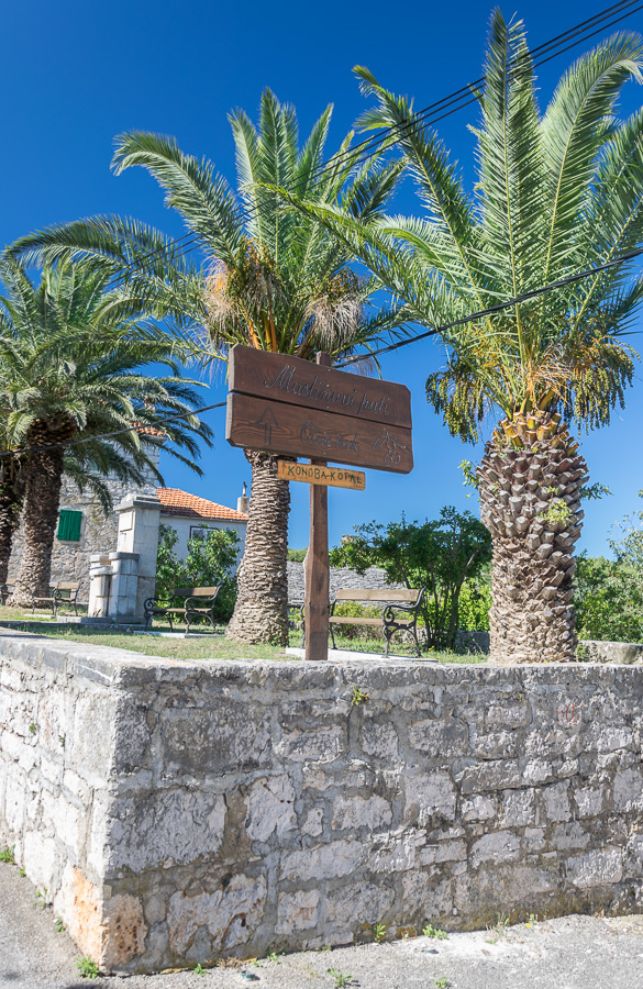 :) / DSC_8253.jpg DSC_8253.jpg