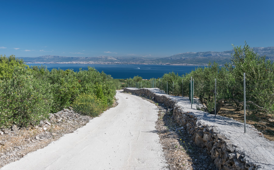 No to mamy piękną pogodę / DSC_8263.jpg DSC_8263.jpg