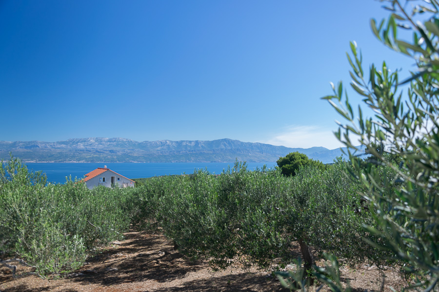 widoki widoki / DSC_8264.jpg DSC_8264.jpg