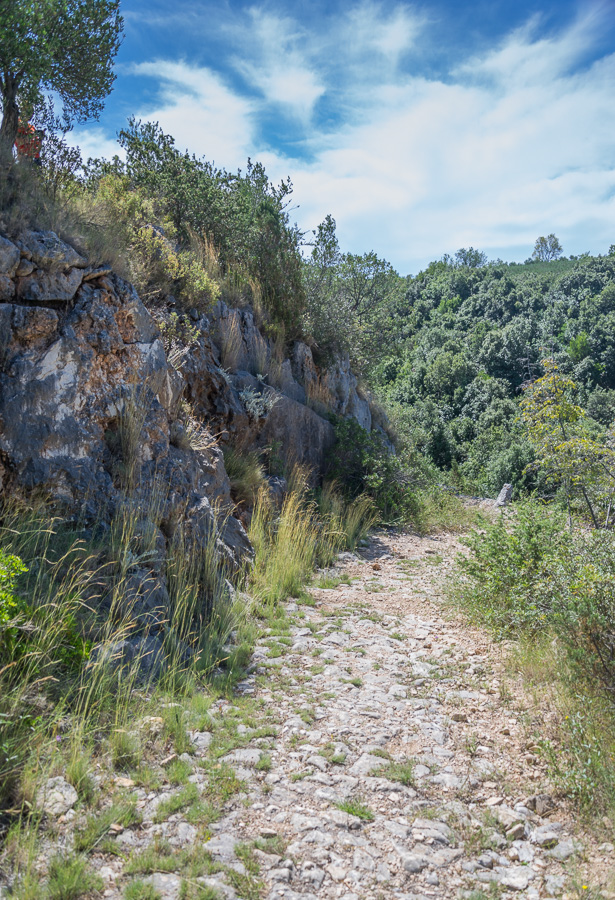 droga (raczej ścieżka) prowadząca do mostu / DSC_8277.jpg DSC_8277.jpg