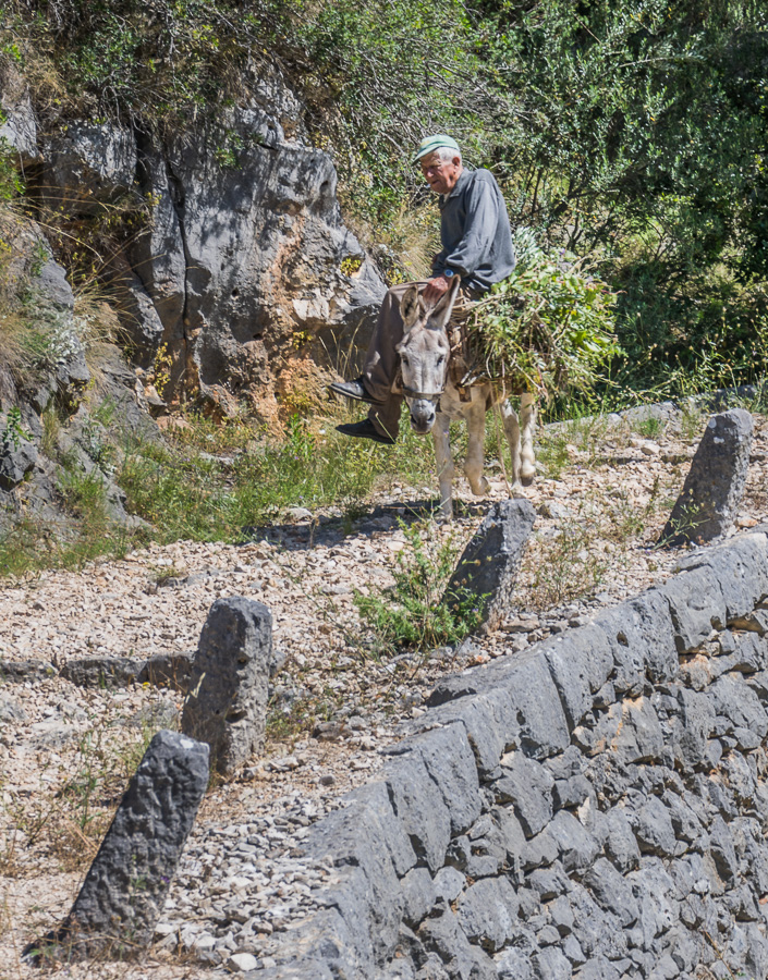 jedno z moich ulubionych zdjęć :) / DSC_8281.jpg DSC_8281.jpg