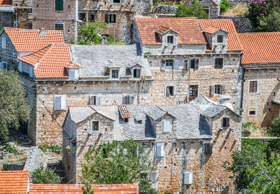 zooom :) :) :) / DSC_8329.jpg DSC_8329.jpg