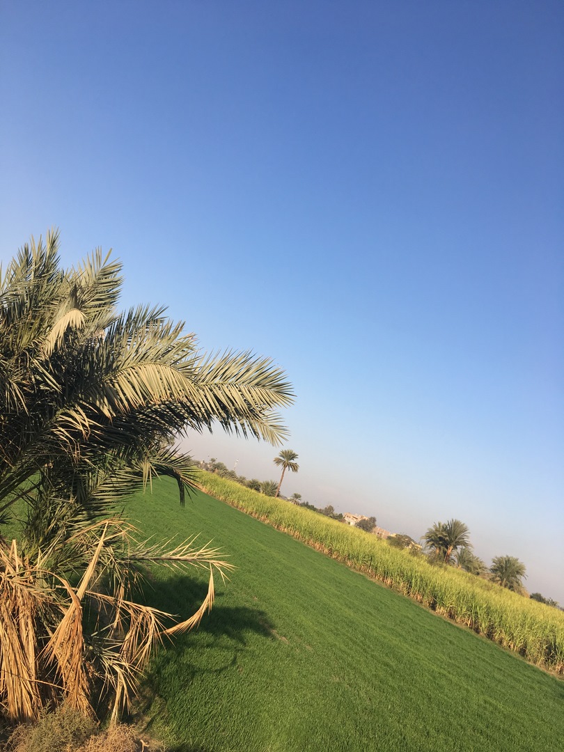 1120 (Kopiowanie).JPG