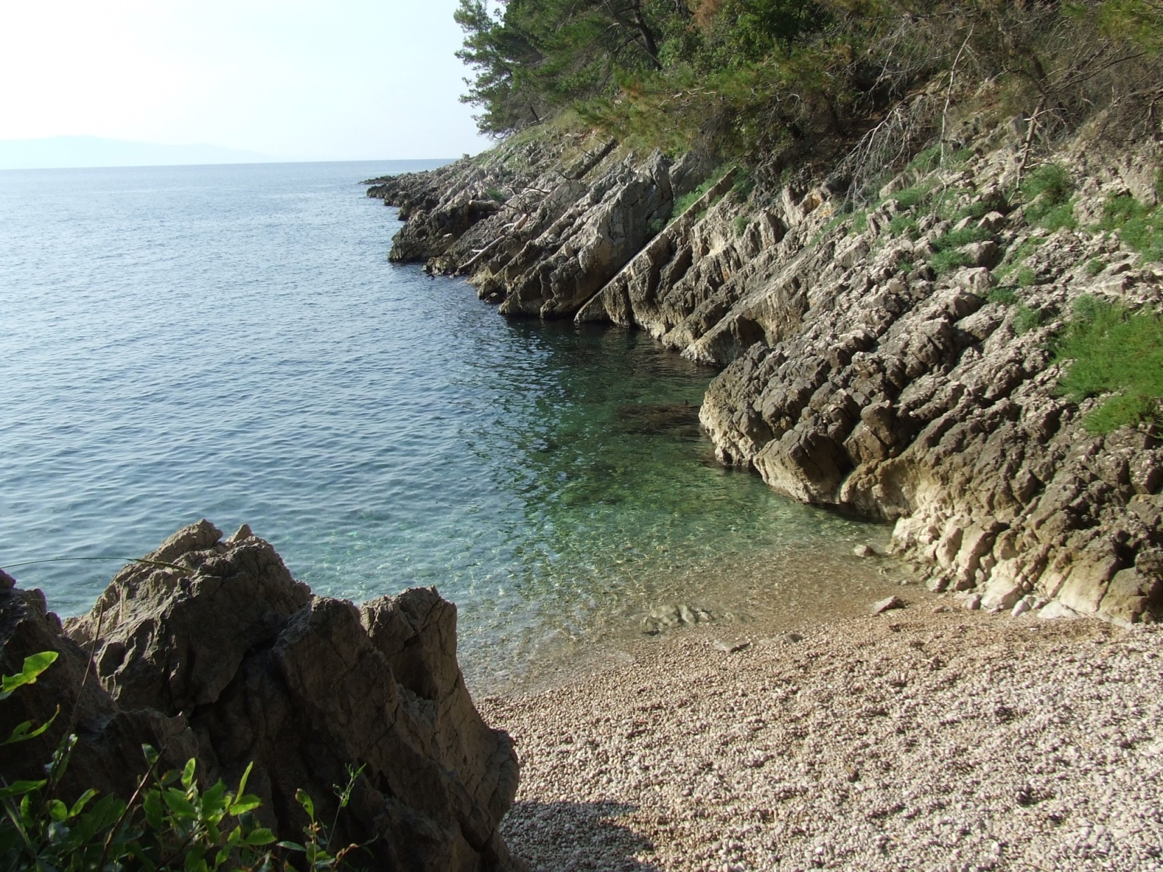 DSCF3774 - Kopia.JPG