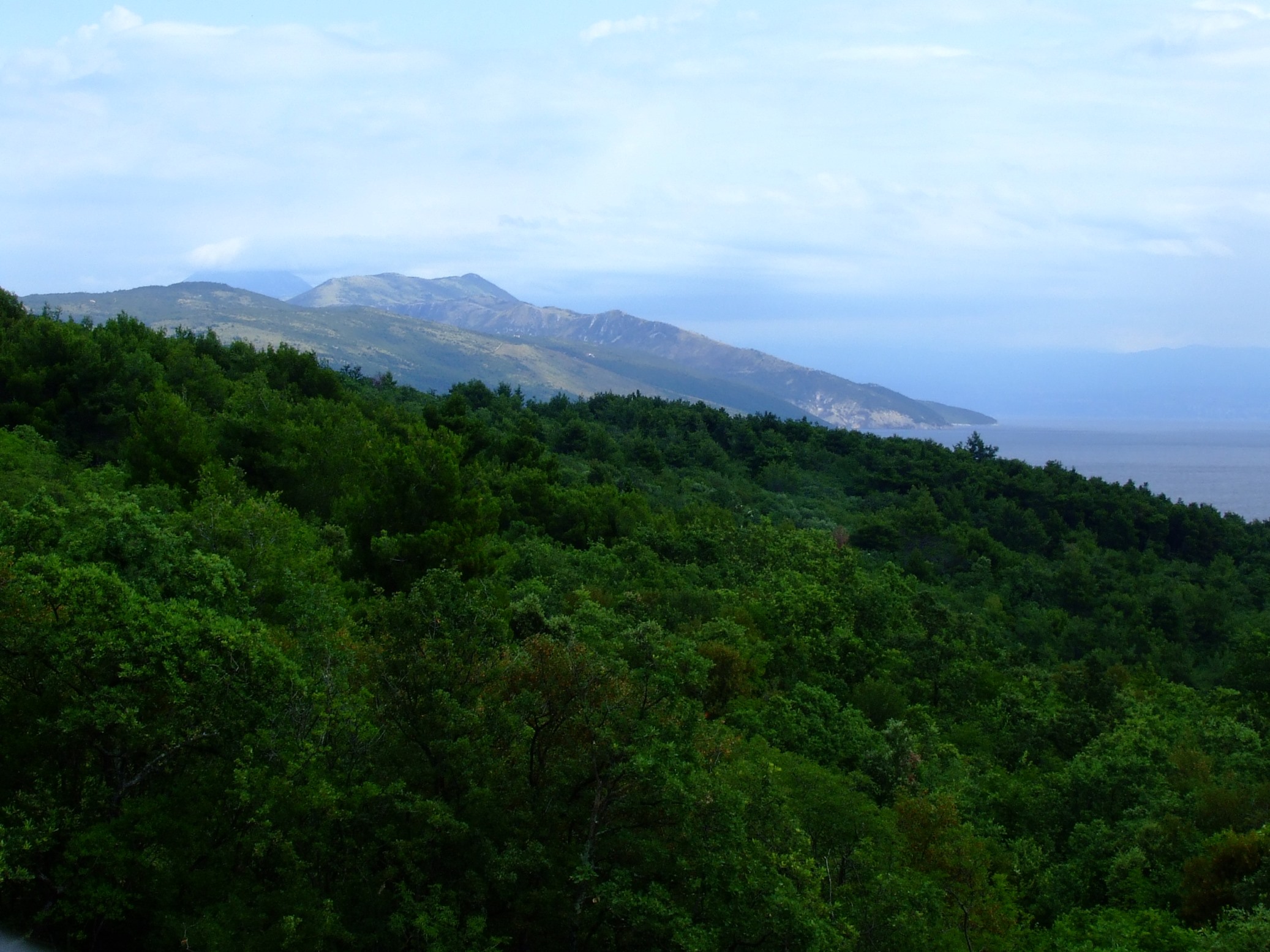 DSCF3428 - Kopia.JPG